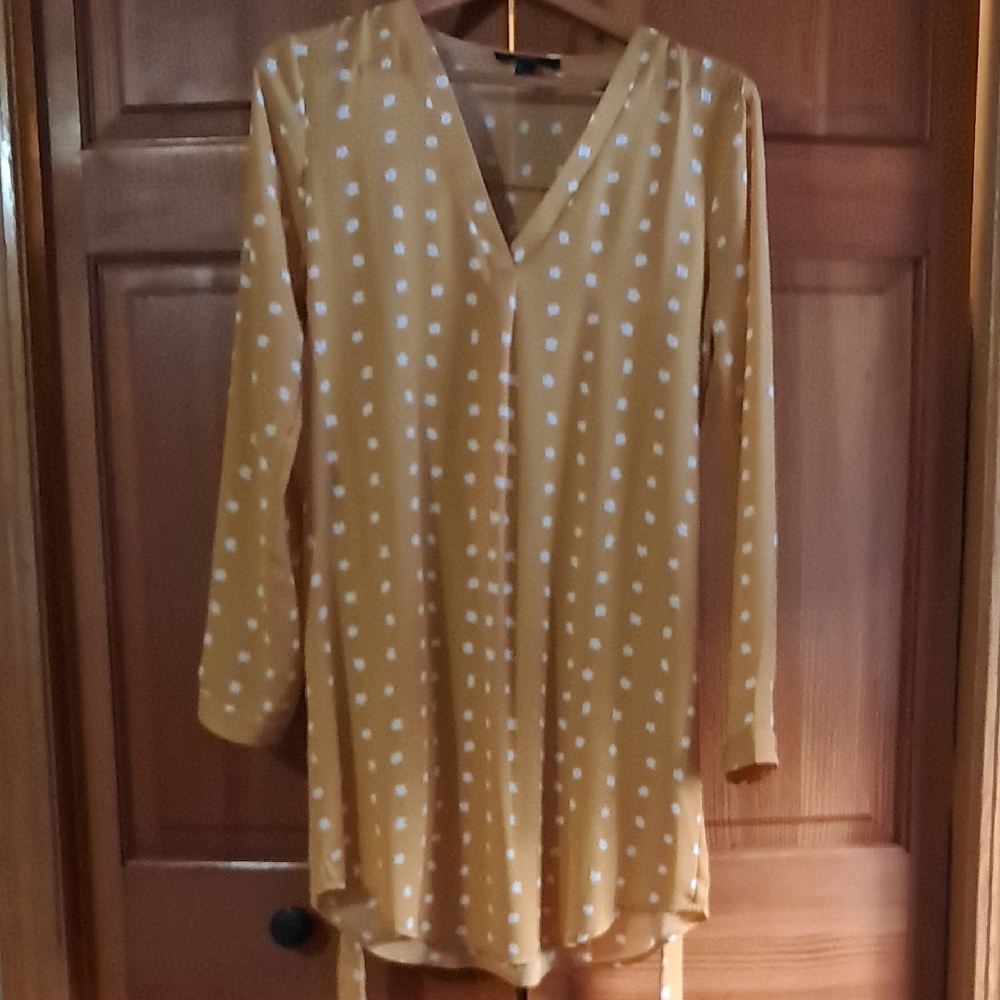 Forever 21 Mustard Polka Dot V-Neck Long Sleeve Dress